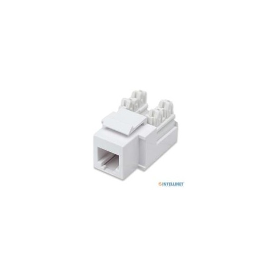 JACK,INTELLINET,210843, RJ11/RJ12 DE IMPACTO BLANCO