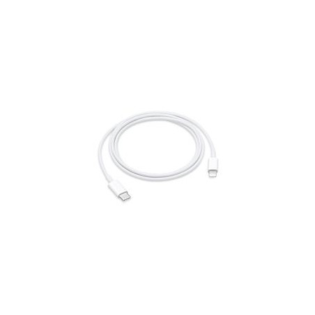 CABLE DE USB-C A LIGHTNING (1M)