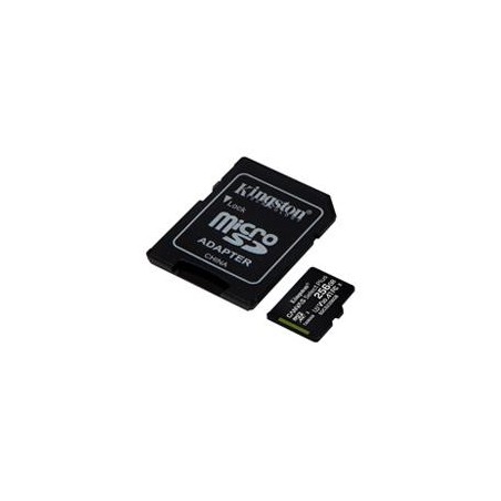 MEMORIA FLASH MICRO SD KINGSTON SDXC CANVAS SELECT PLUS 256GB 100R UHS-I U3 V30 C/ADAPTADOR (SDCS2/256GB)