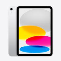 IPAD 10.9 CHIP A14 BIONIC / DECIMA GENERACION / WI-FI / 256GB / PLATA